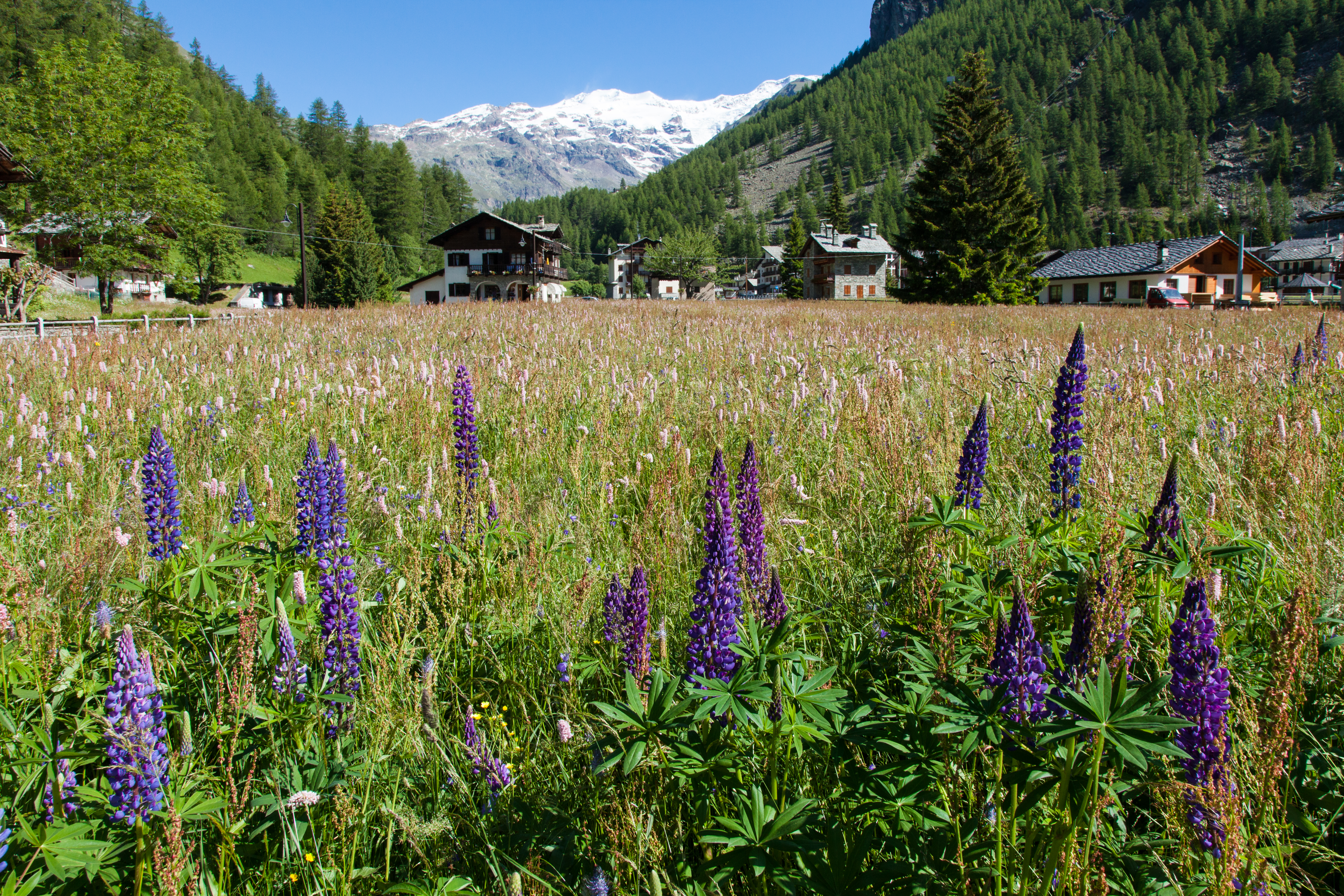 Vista del comune di Gressoney-La-Trinité