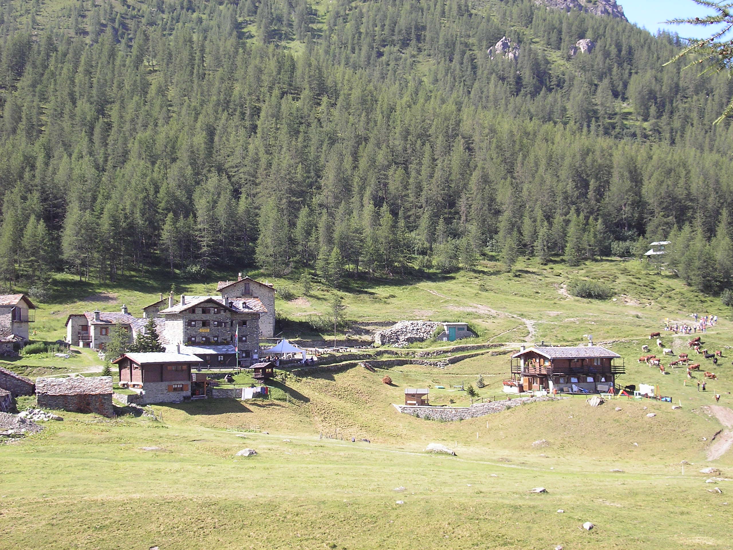 Cheneil