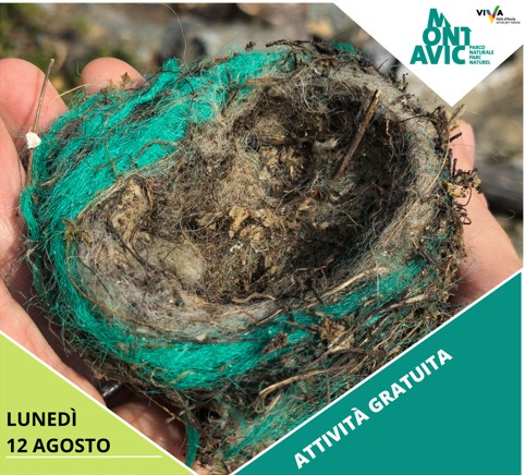 Parco Naturale Mont Avic