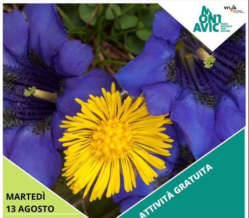 Parco Naturale Mont Avic