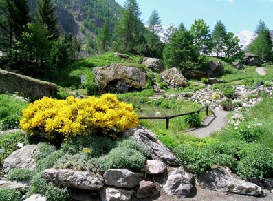 Esterna estate
