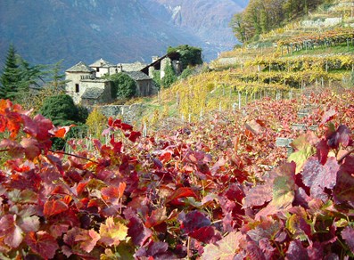 autumn landscape
