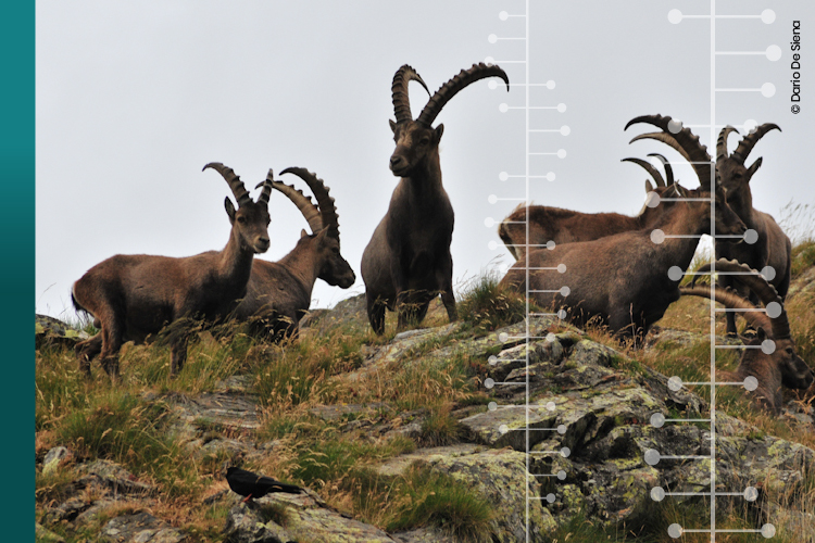 Natura in Evoluzione