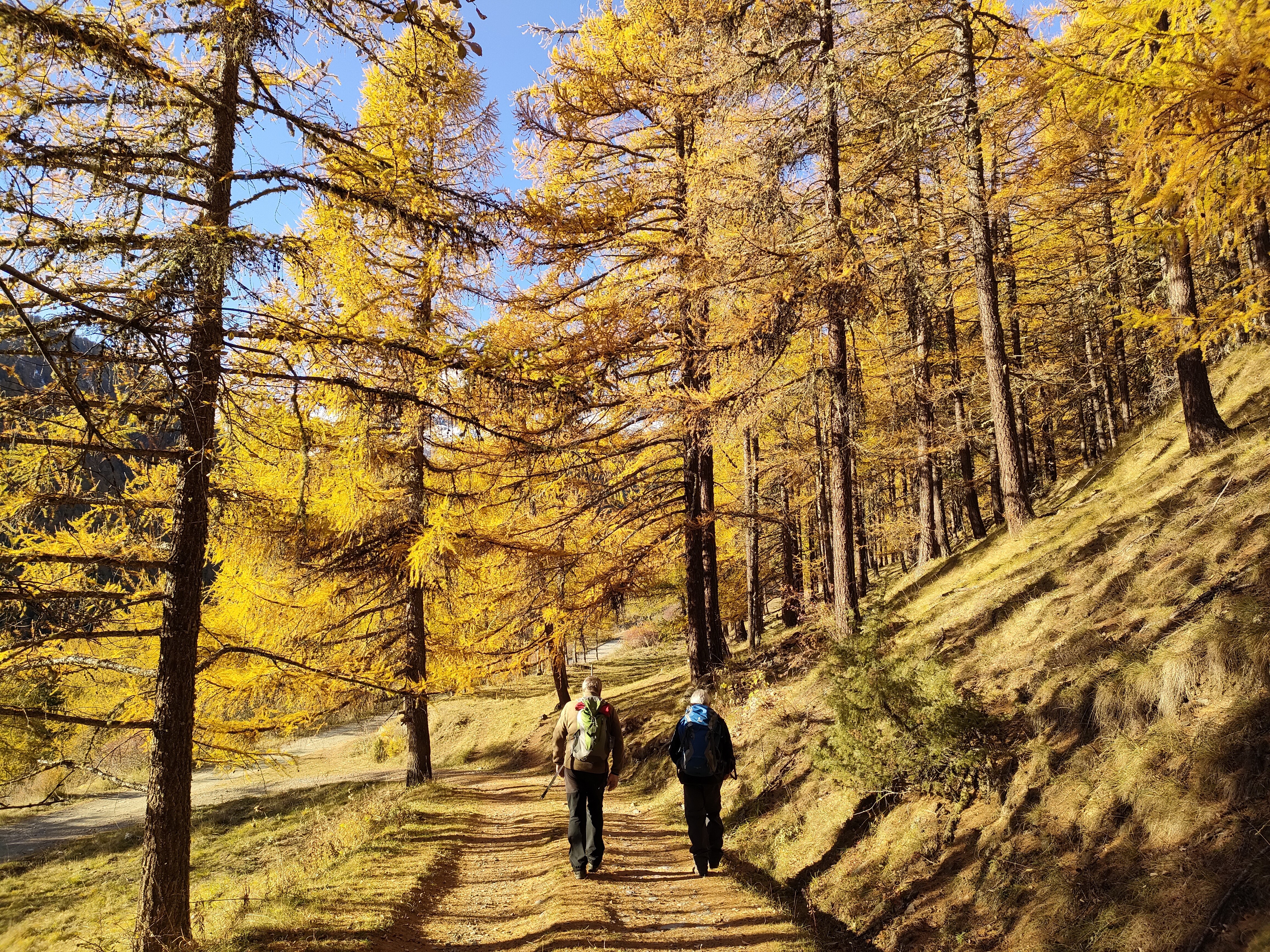 Camminata in autunno