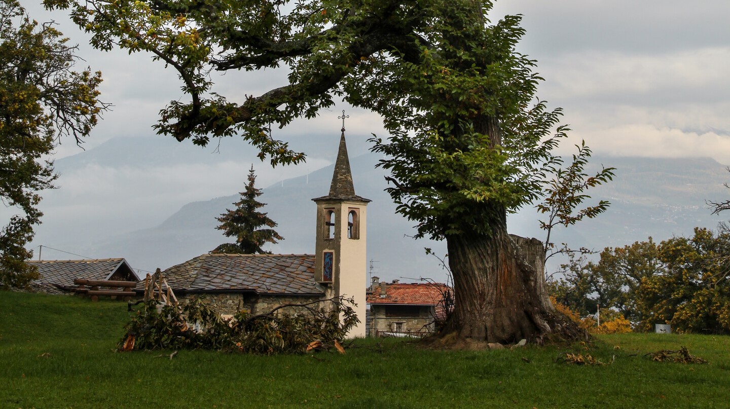 Bellecombe