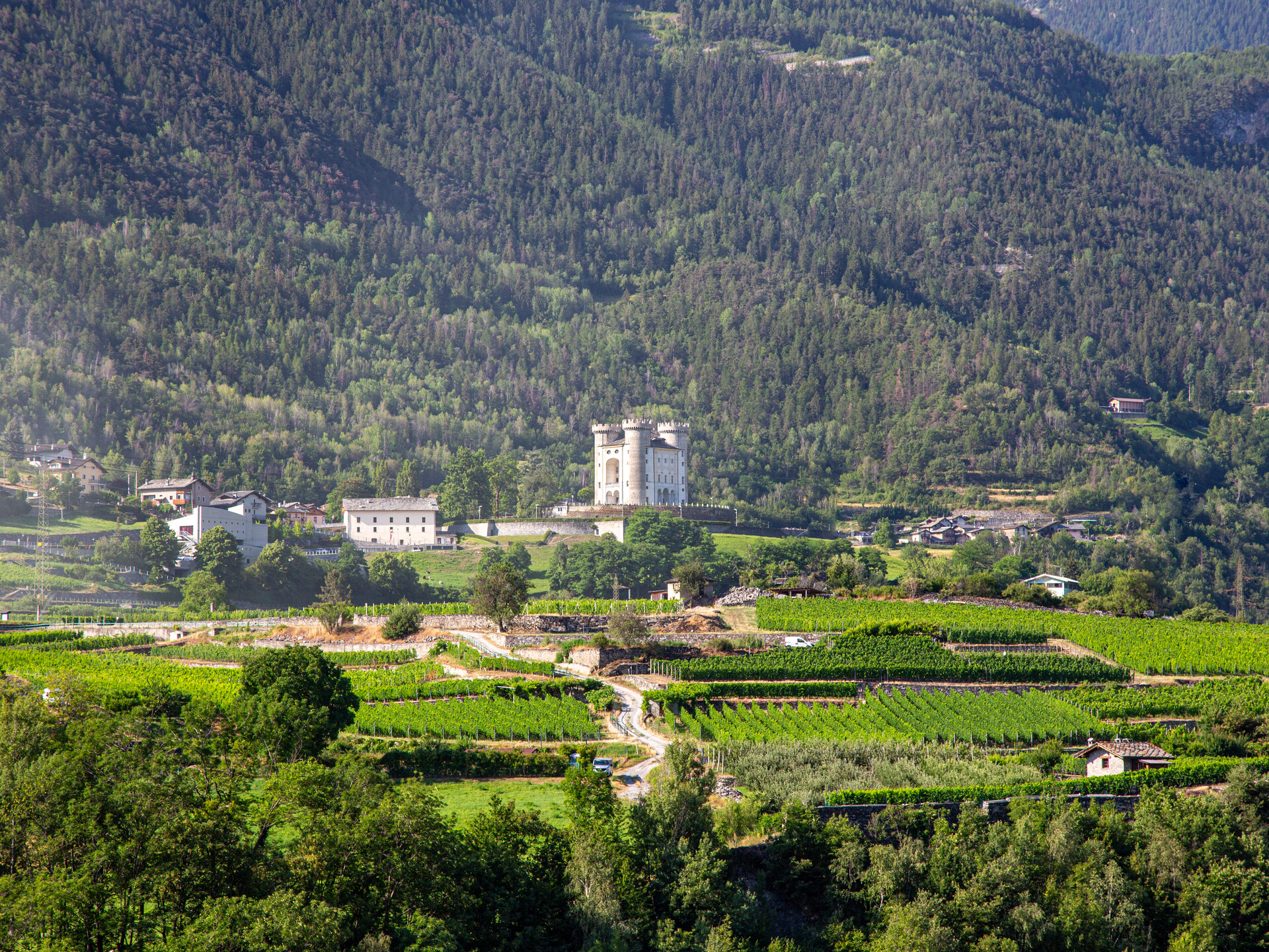 Panorama d'Aymavilles et du château