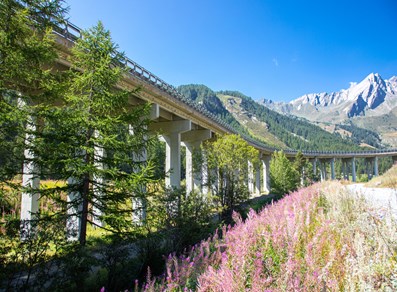 Marché au Fort