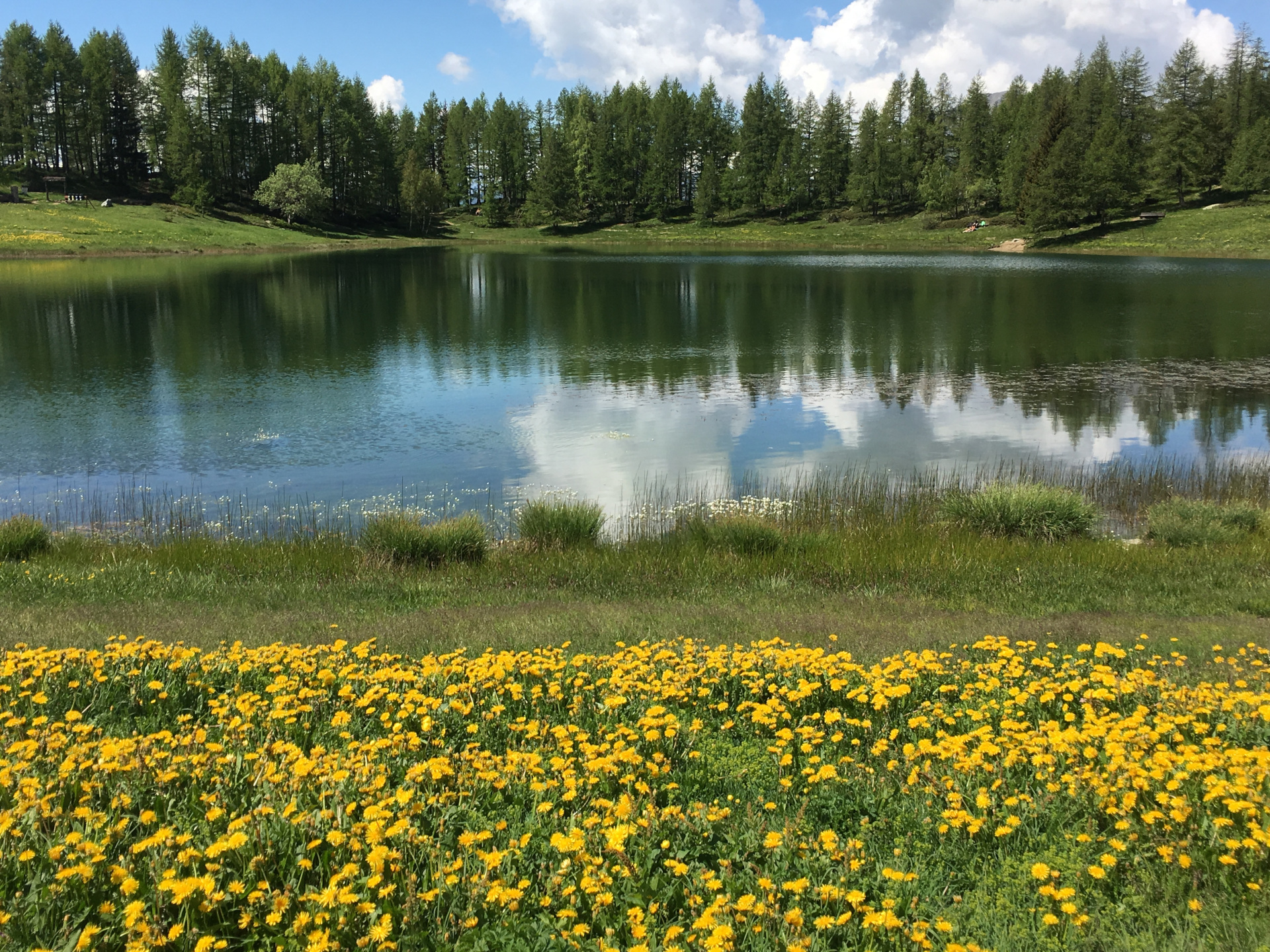 Lod Lake