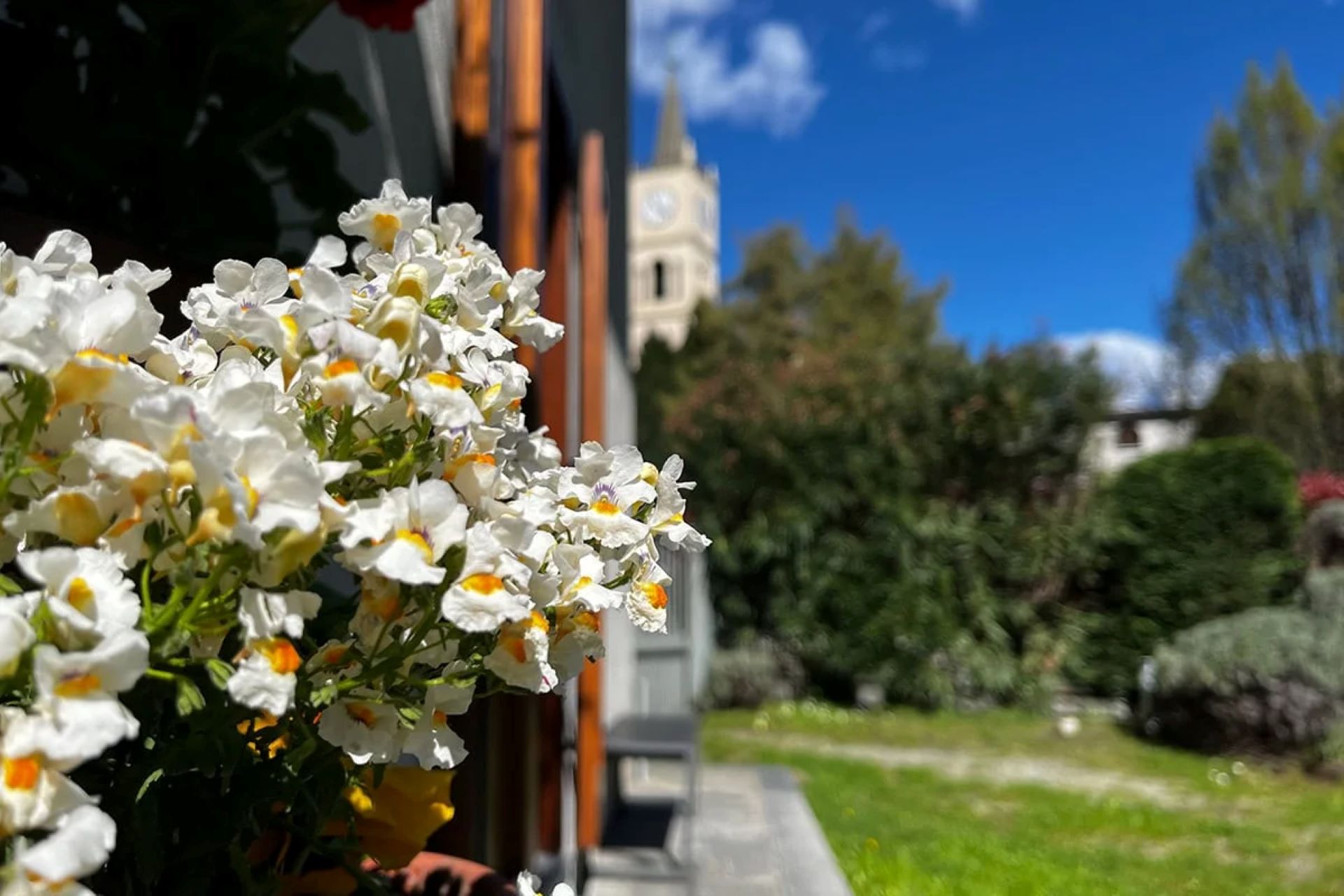 B&B Il Pellegrino -  Le Jardin