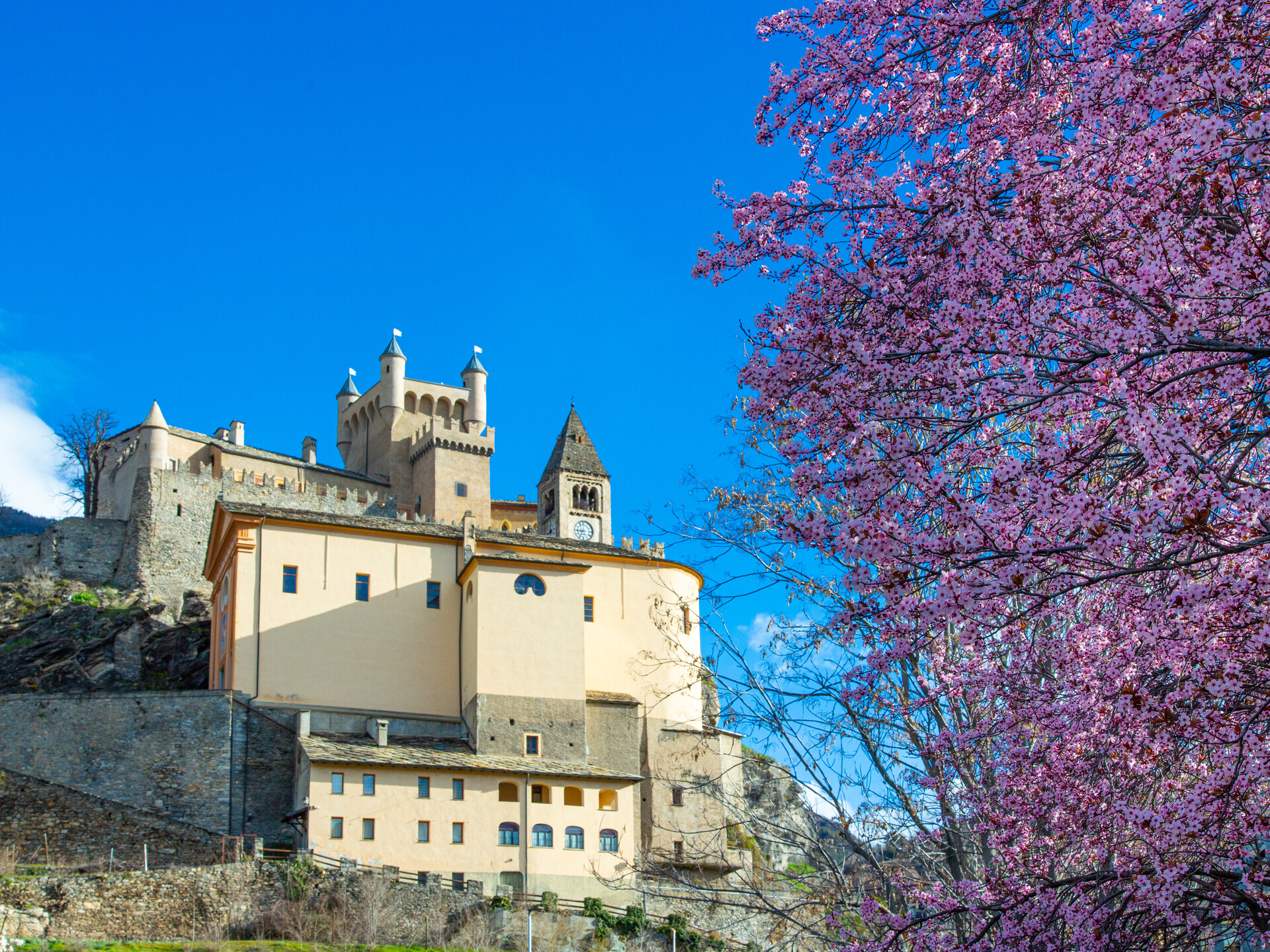 Castello di Saint-Pierre - Museo regionale di scienze naturali