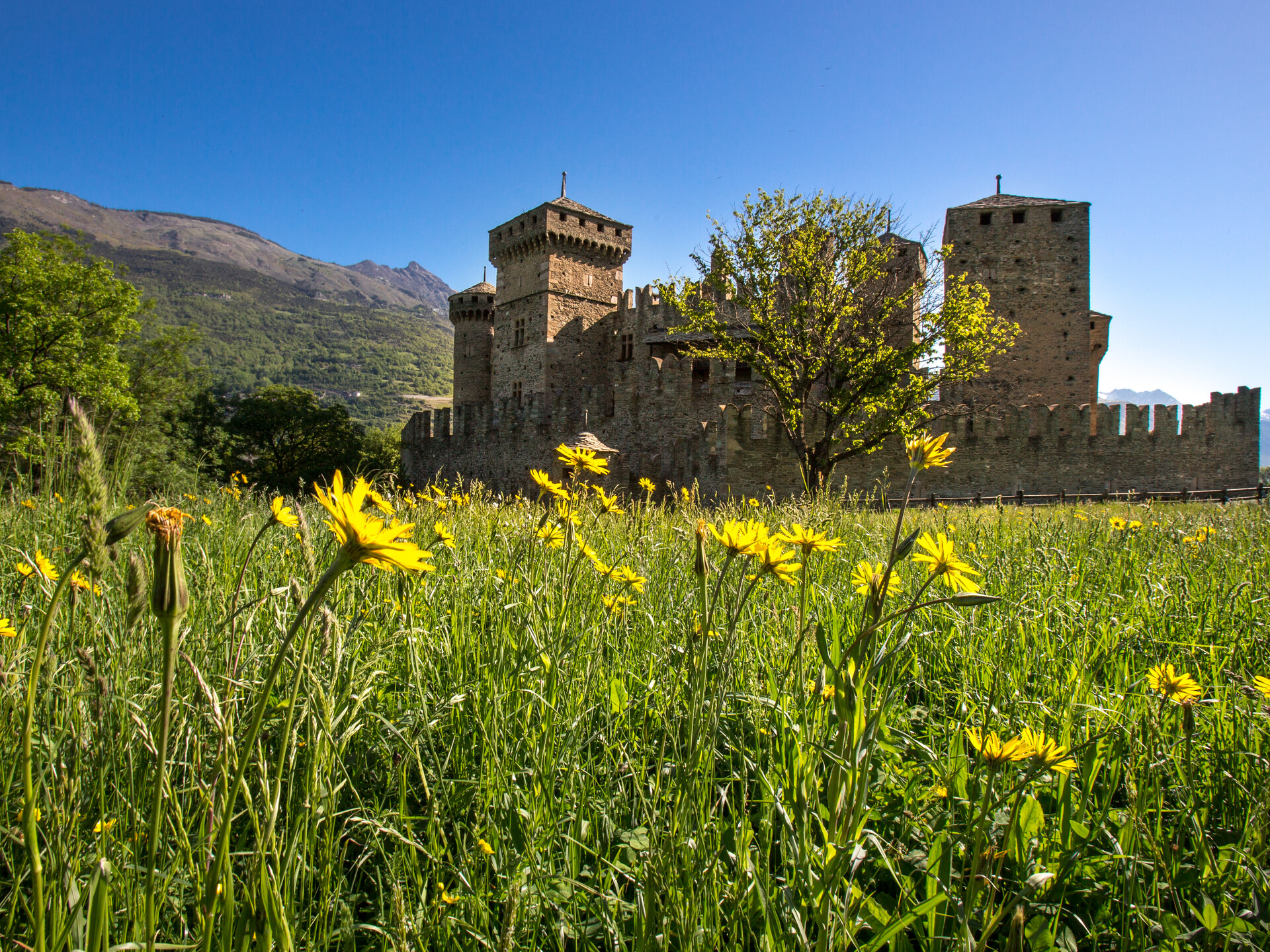 Castello di Fénis