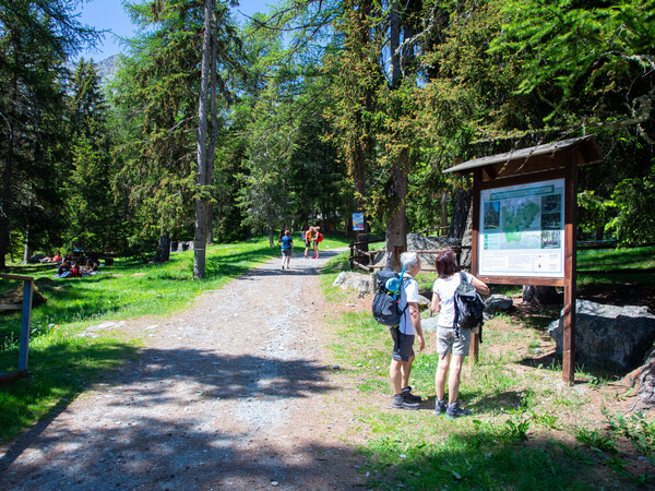 Area Pic-nic Barmasc - Ayas