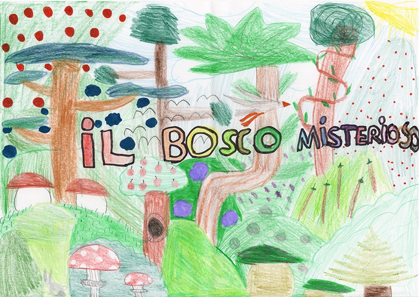 il bosco misterioso
