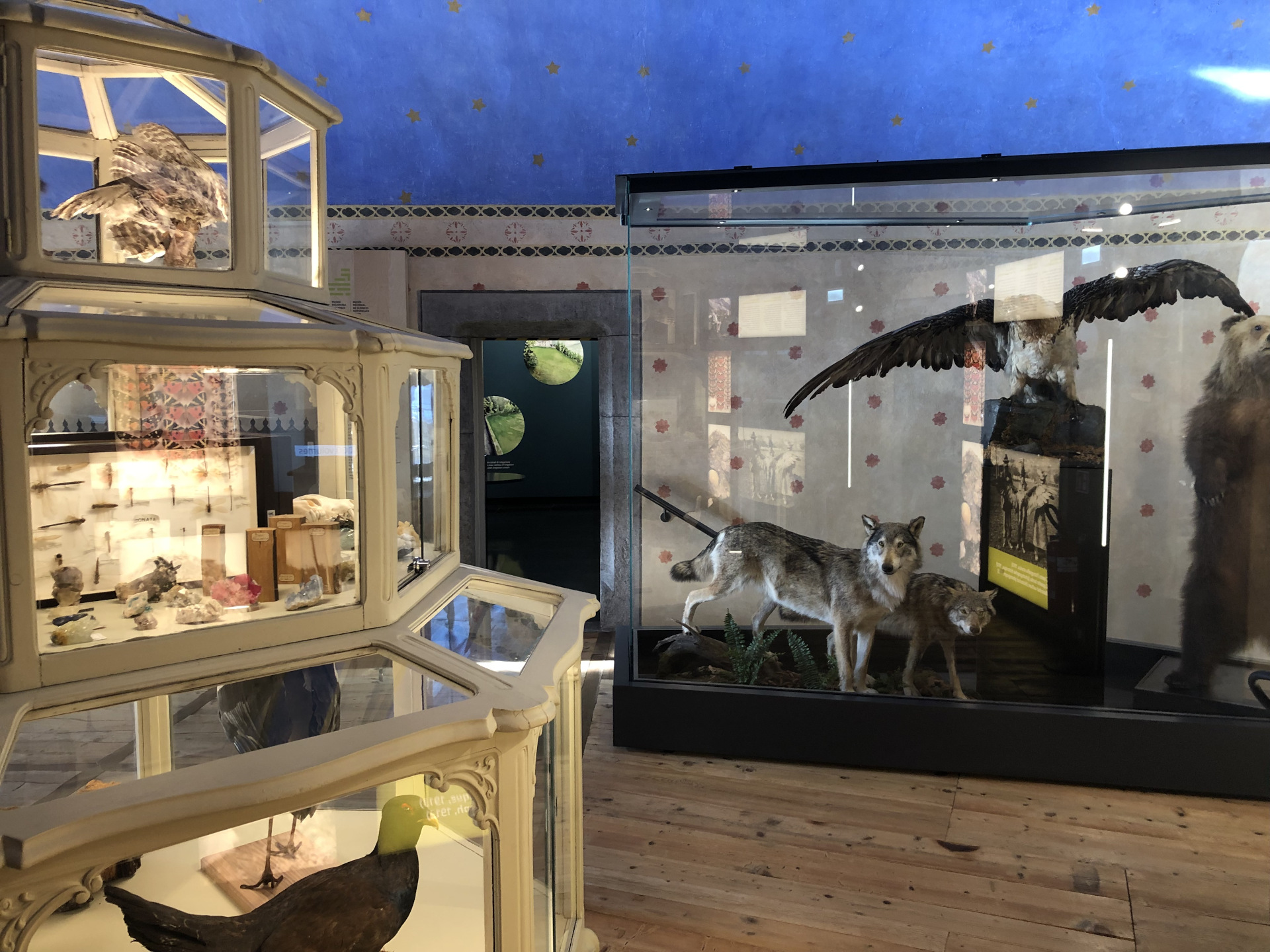 Museo Scienze Naturali Saint-Pierre