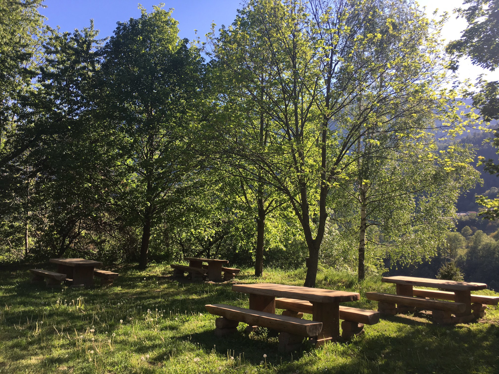 Area pic-nic