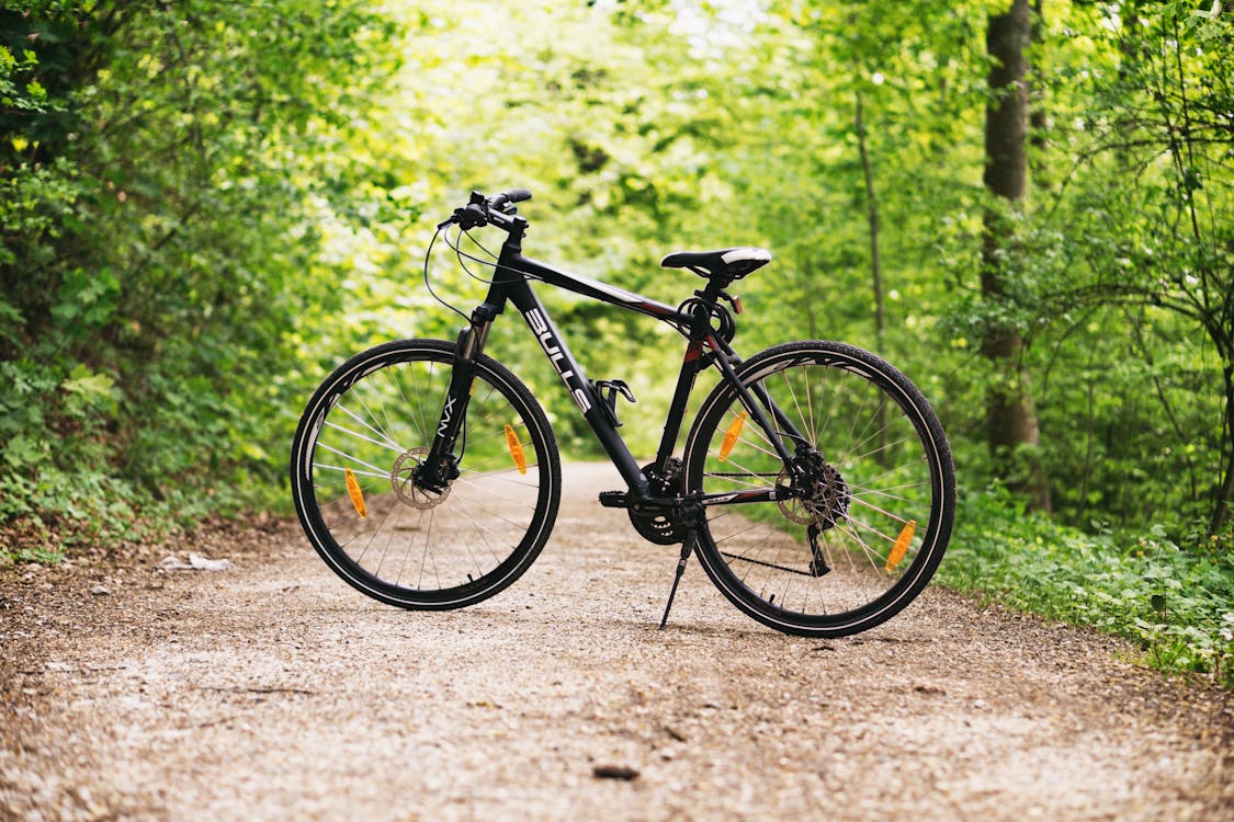 bicicletta 