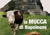 esterno Cavallino