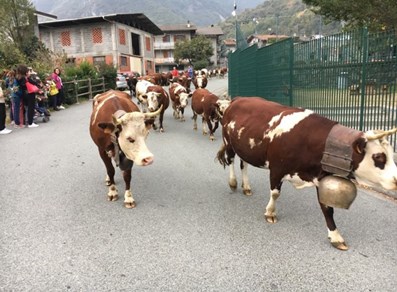 Aosta Arsanières Golf Club - Gignod