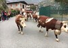 Aosta Arsanières Golf Club - Gignod