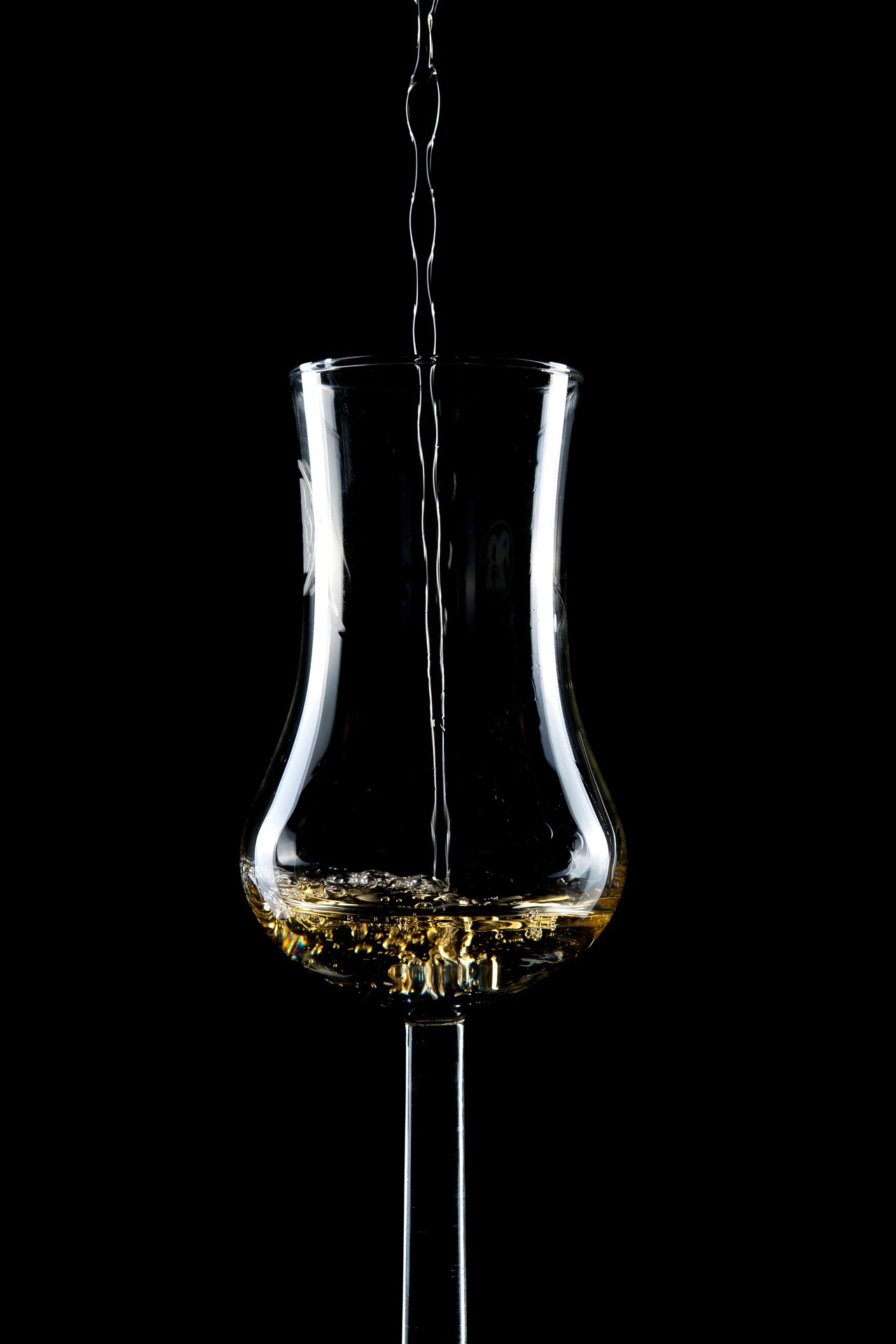 grappa