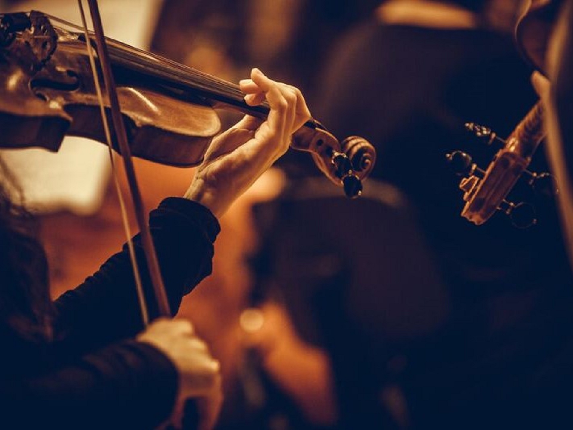 Musique à cordes