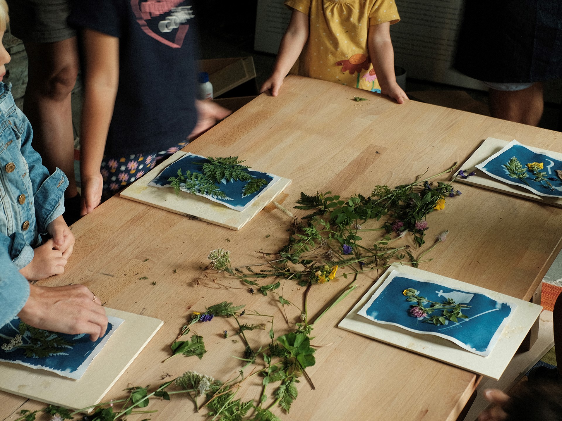 Herbarium