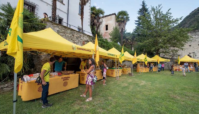 Banchetti del mercato 