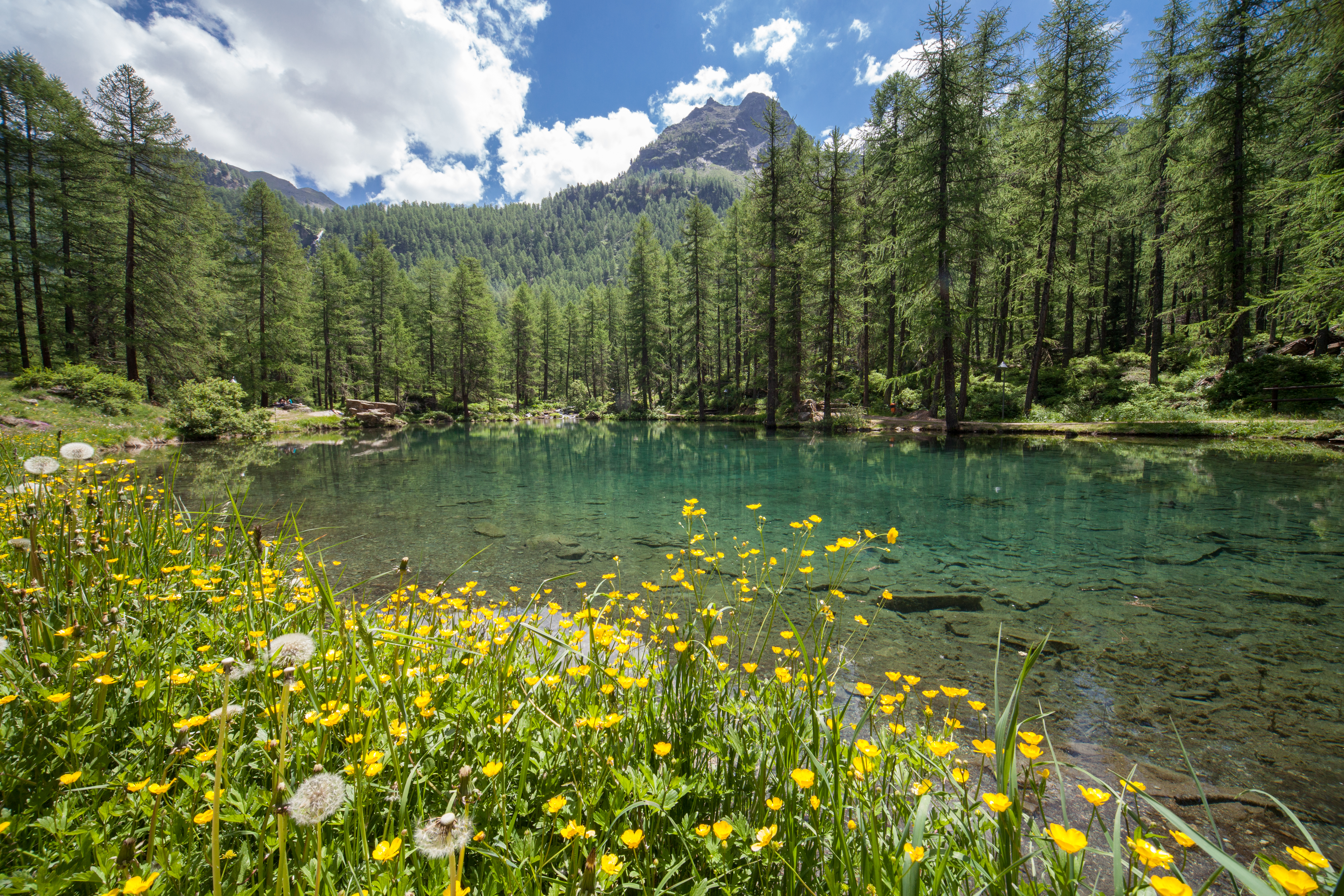 Lago di Pellaud
