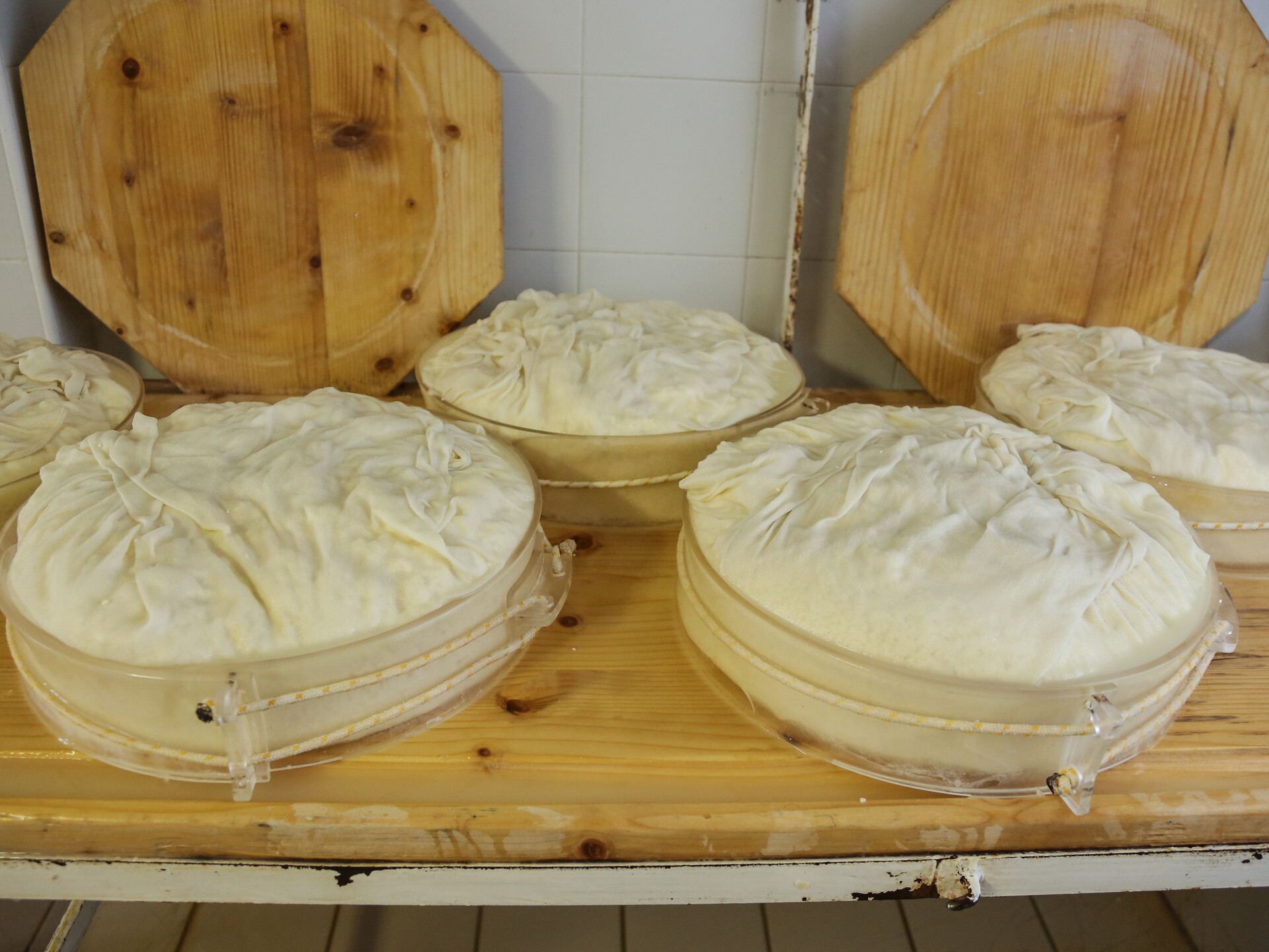 Produzione fontina