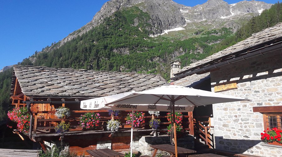 alpenzu