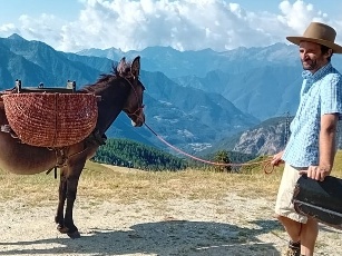 Otto montagne mula