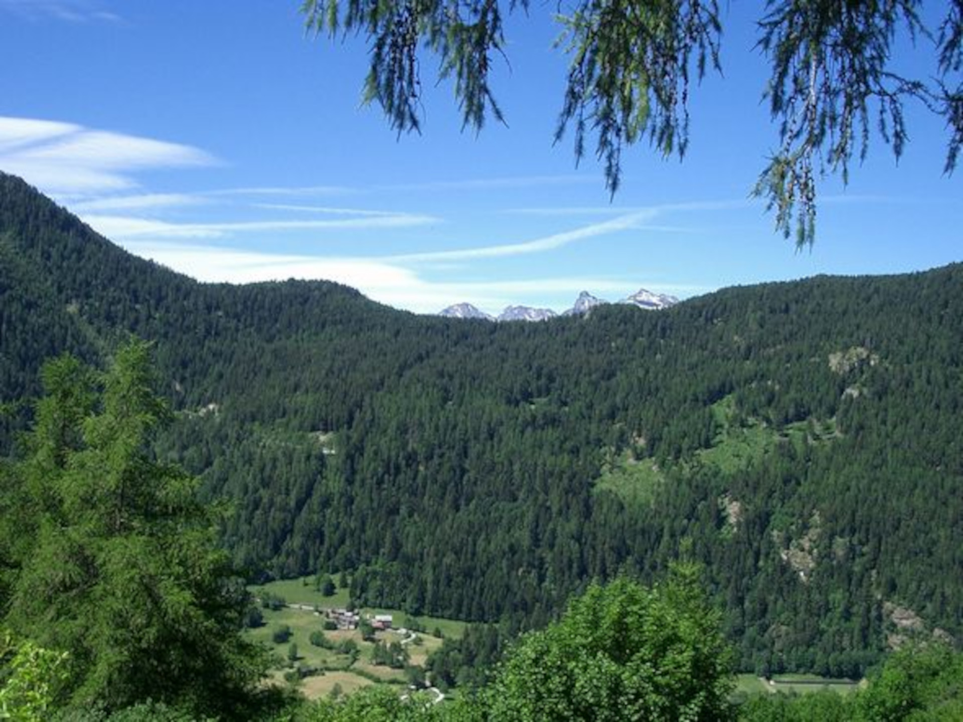 Col de Joux