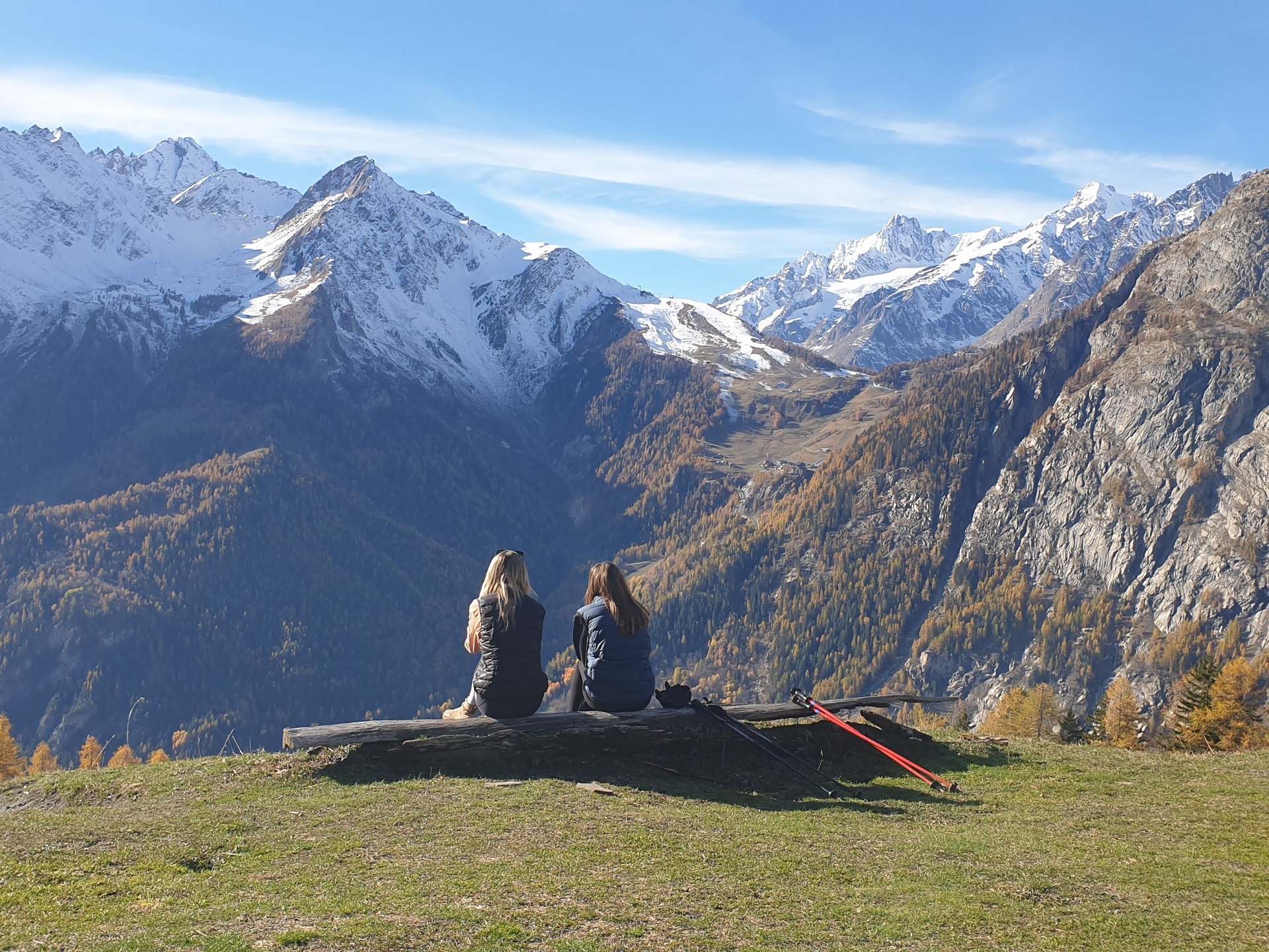 La Suche