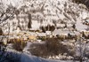 Panorama invernale