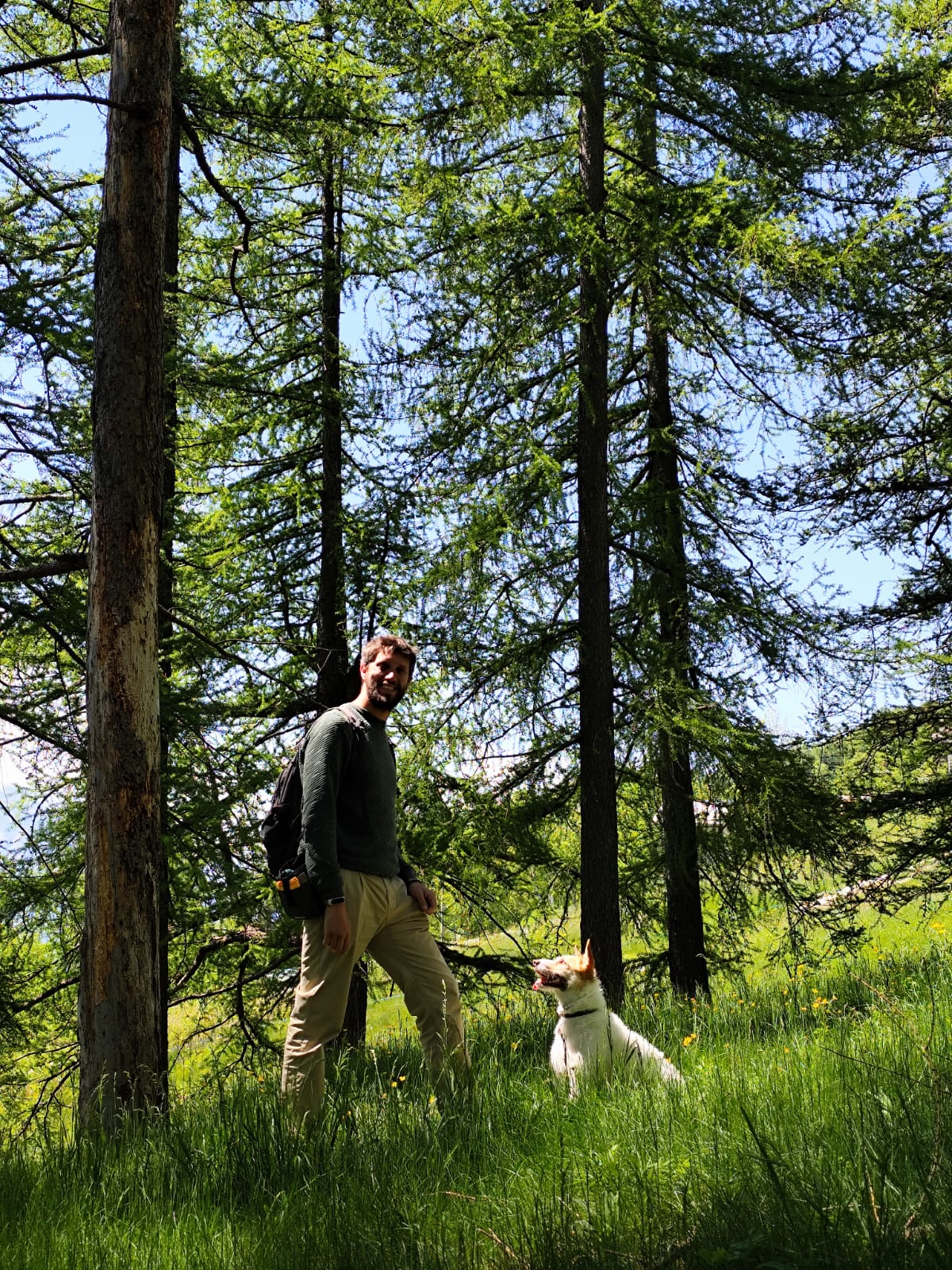 Cani e montagna
