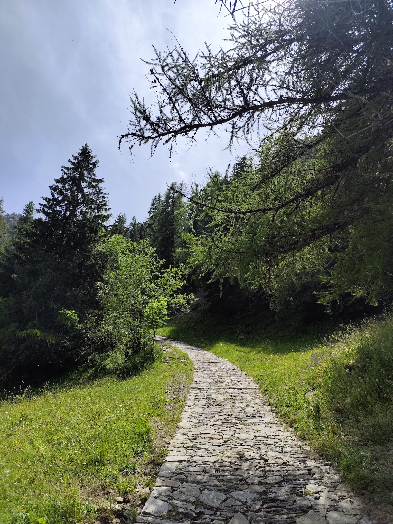 Cena al rifugio Dondena