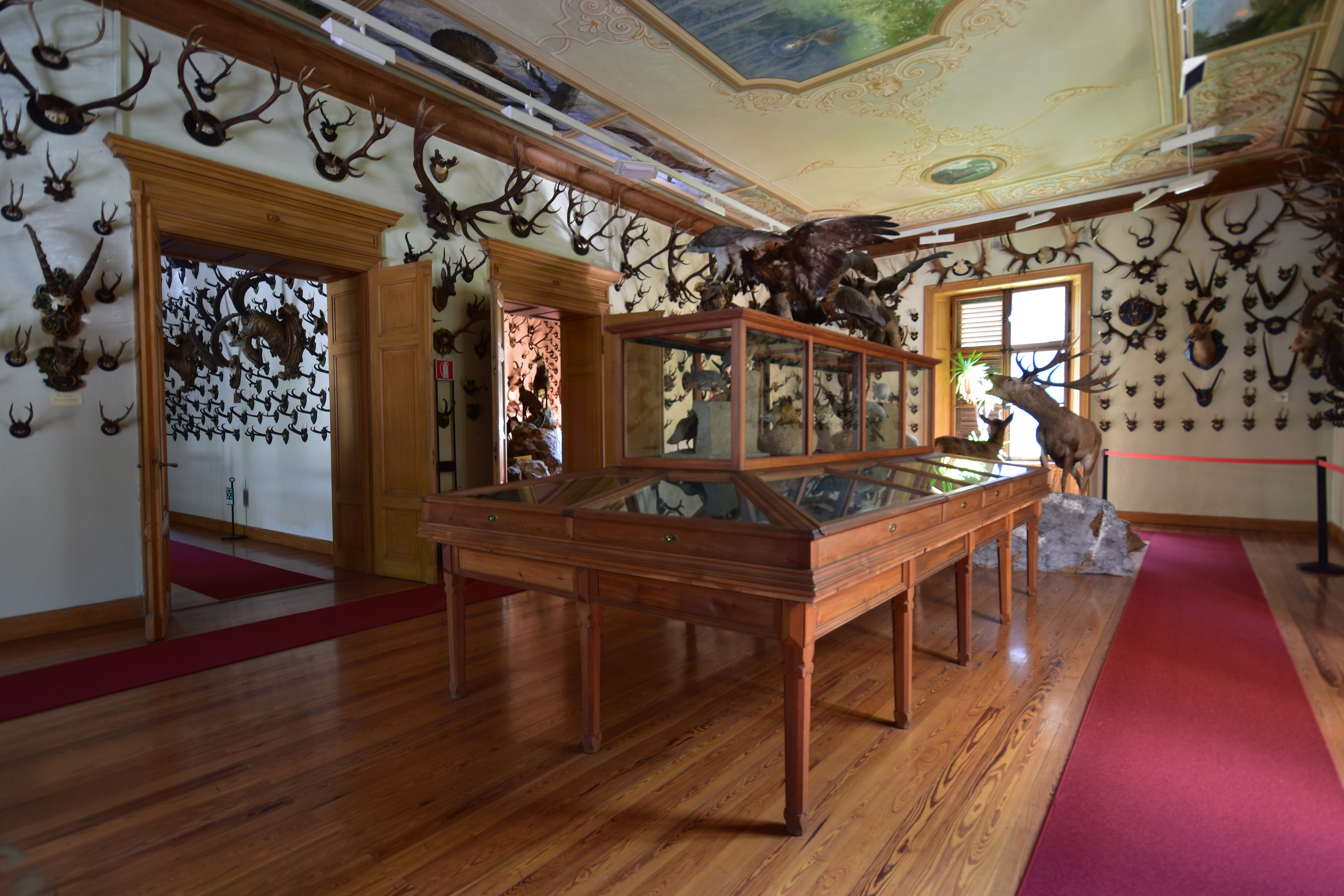 Alpenfaunamuseum