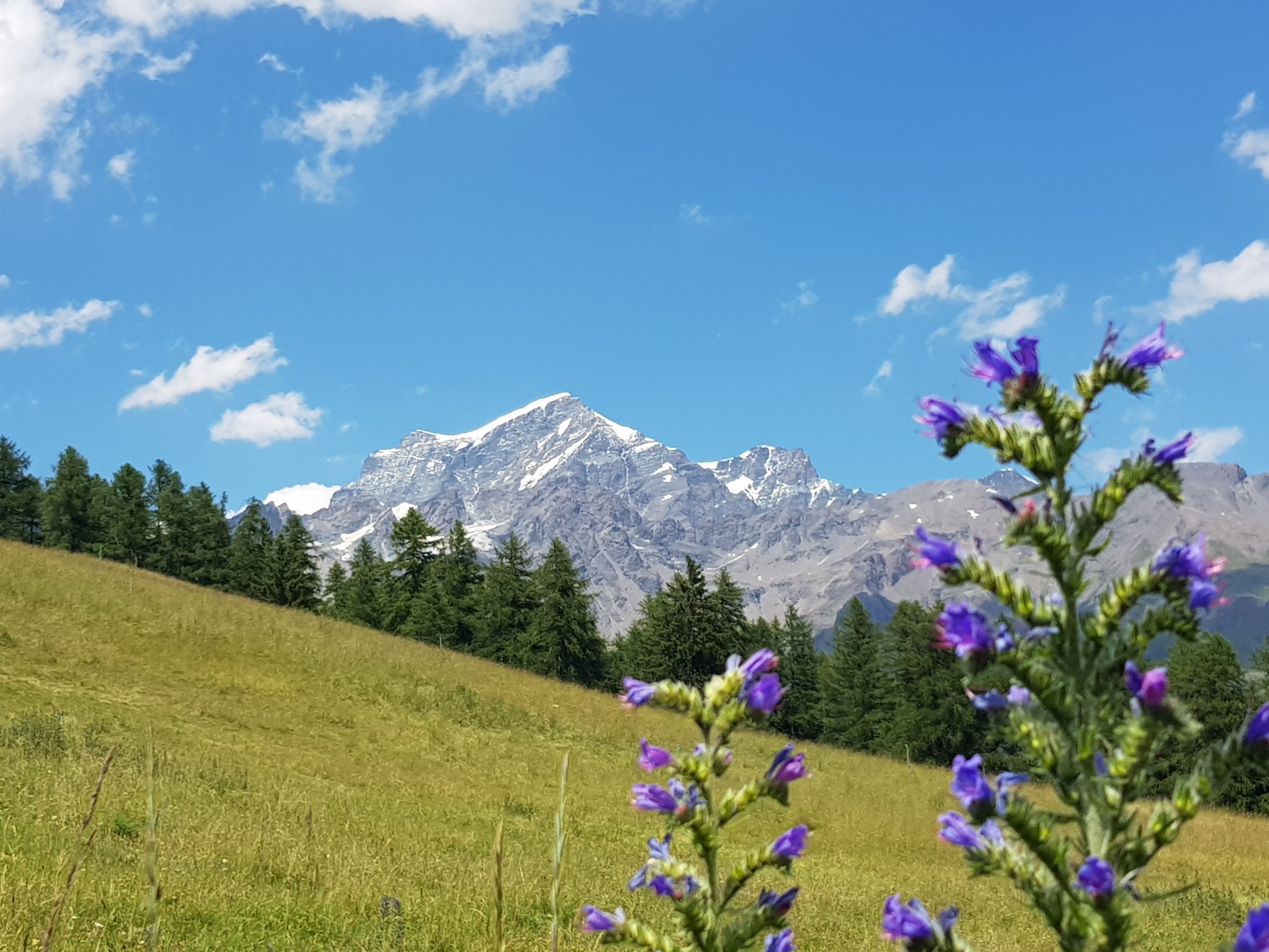 Grand Combin