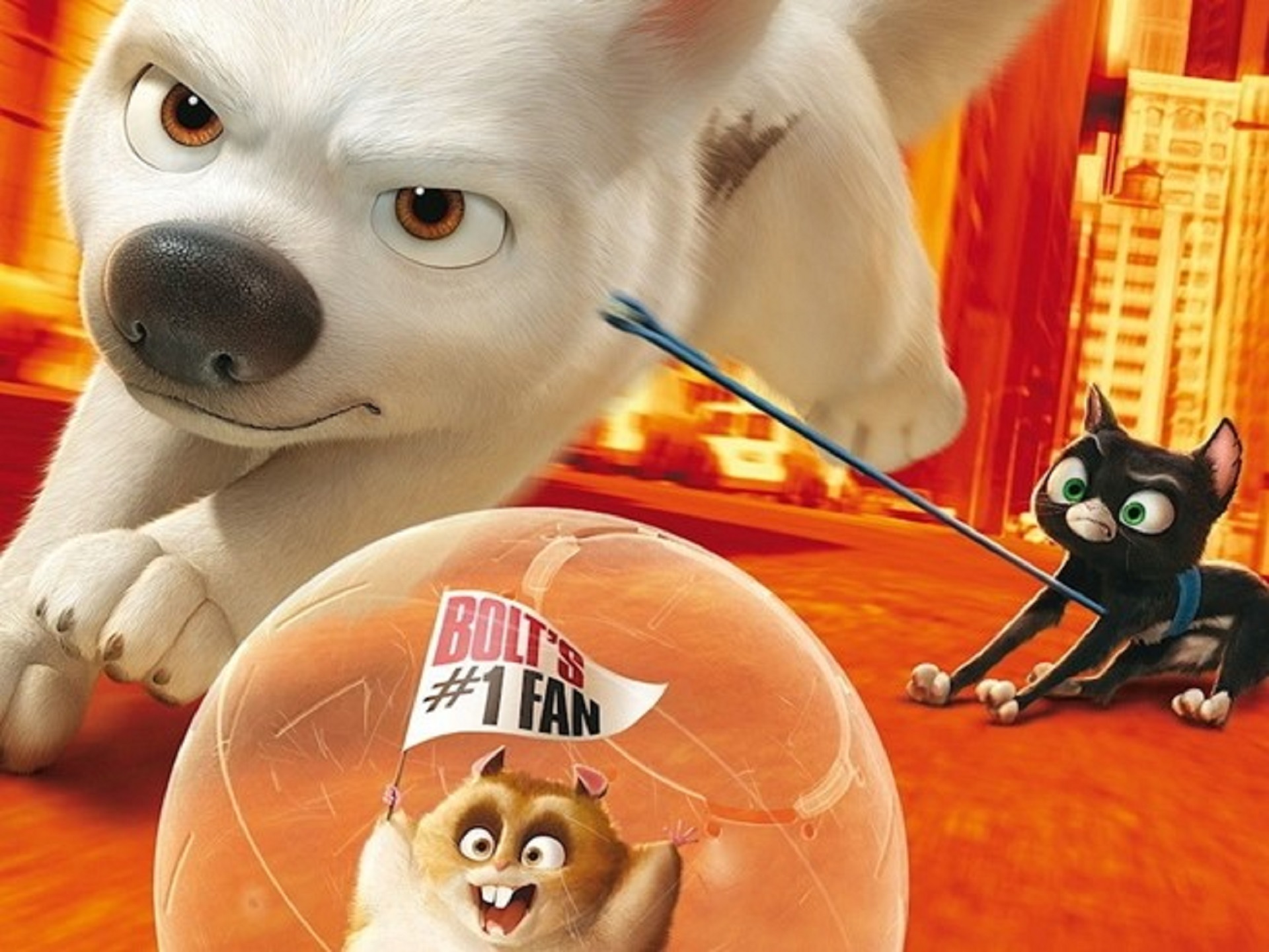 Bolt