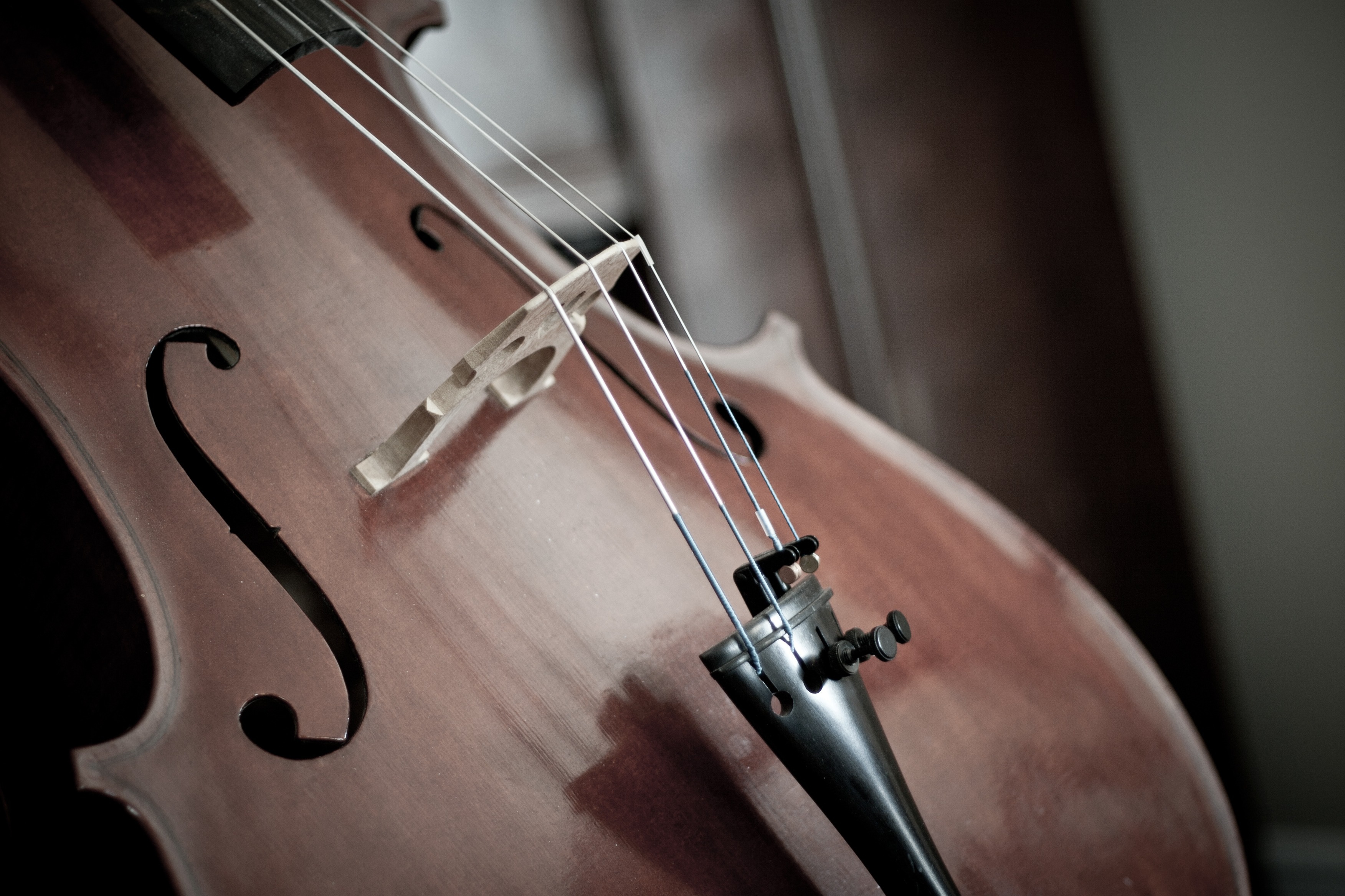 Jeunes Musiciens
