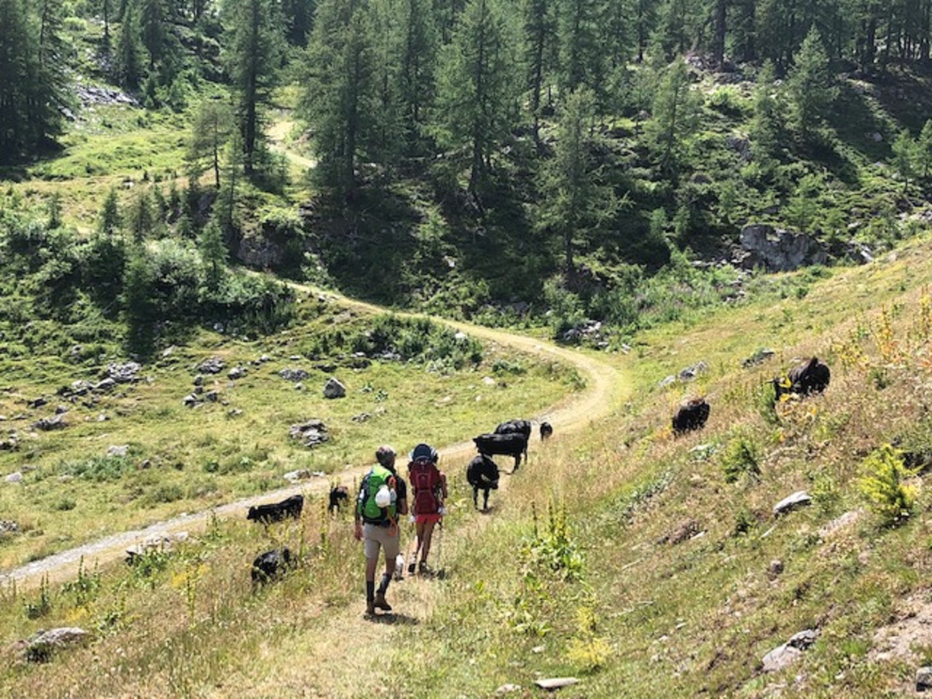 Hiking