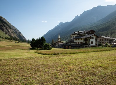Landscape