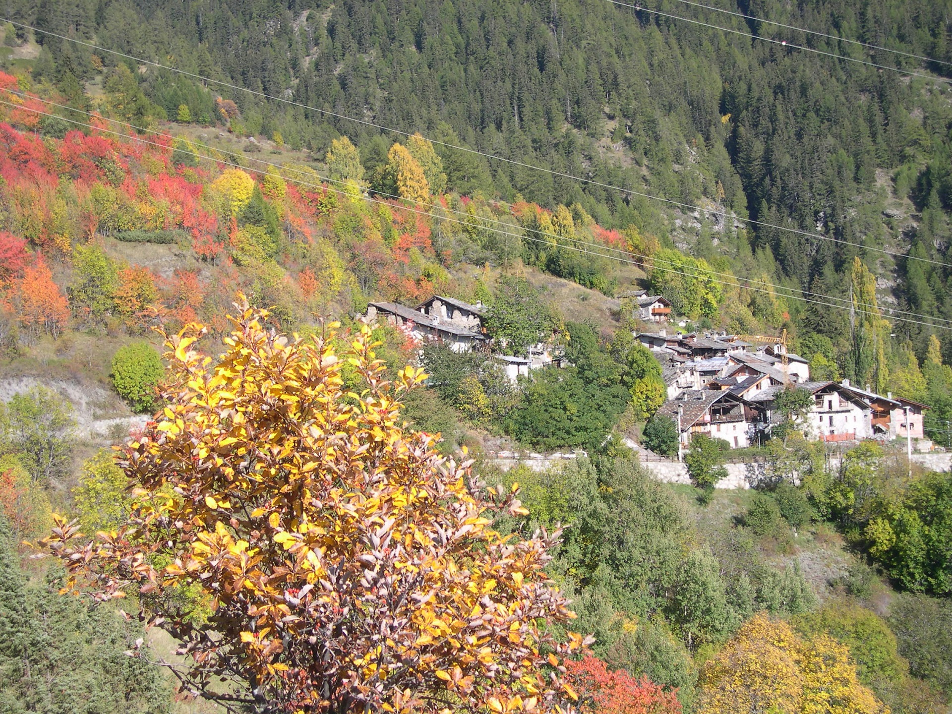 Charvaz