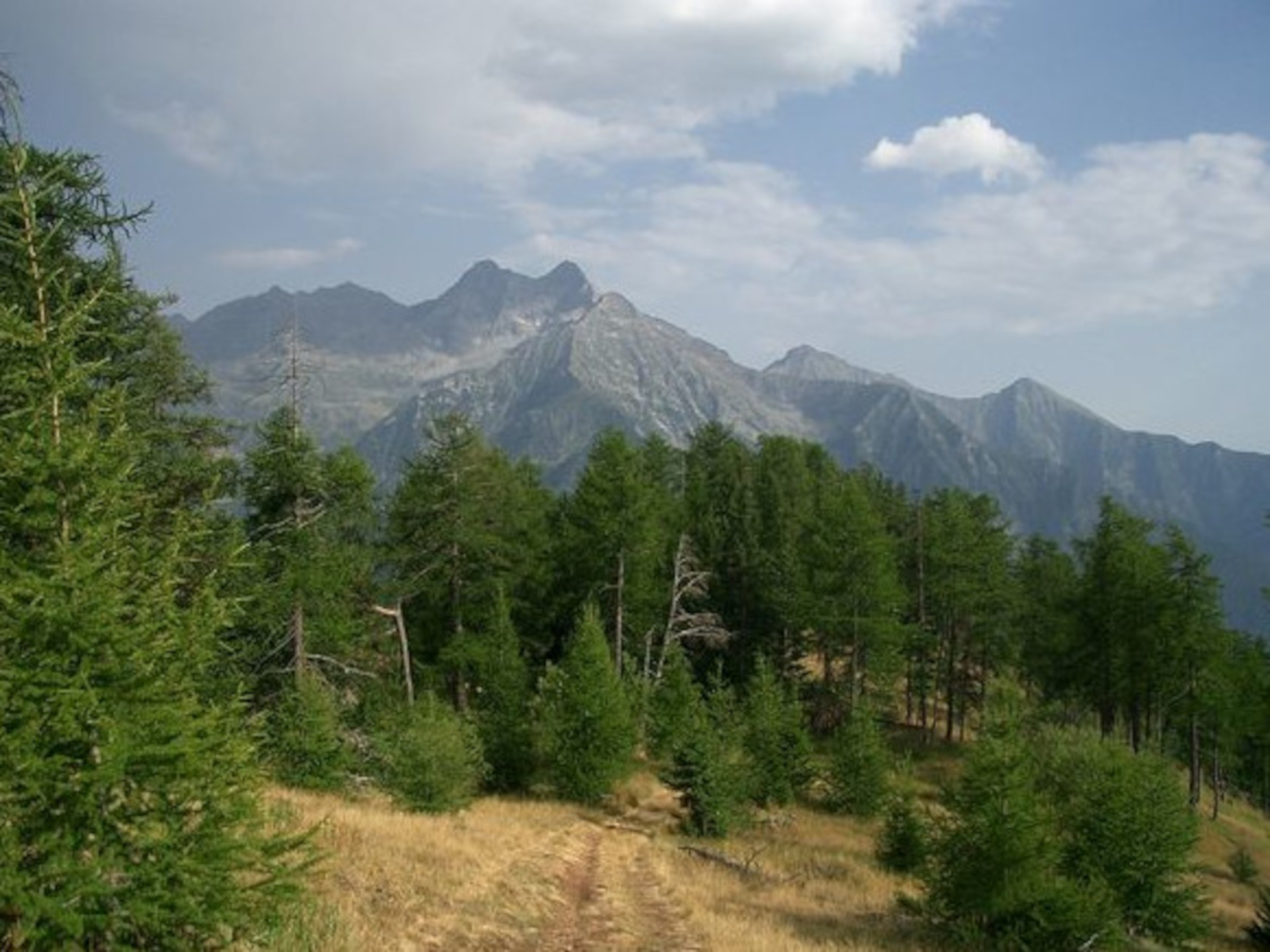 Testa di Comagna
