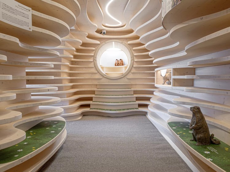 Skyway Monte Bianco: tana delle marmotte