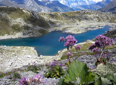 Lago di Bellecombe