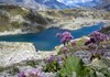Lago di Bellecombe