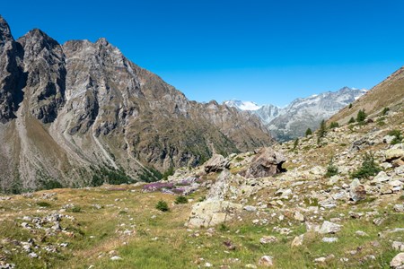 Riserva naturale Montagnayes