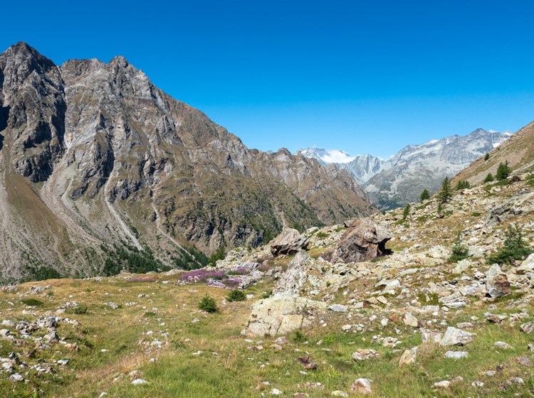 Riserva naturale Montagnayes