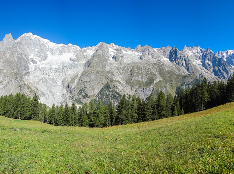 The Mont Blanc range seen from Pré de Pascal in Courmayeur
